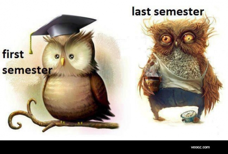 College Owl